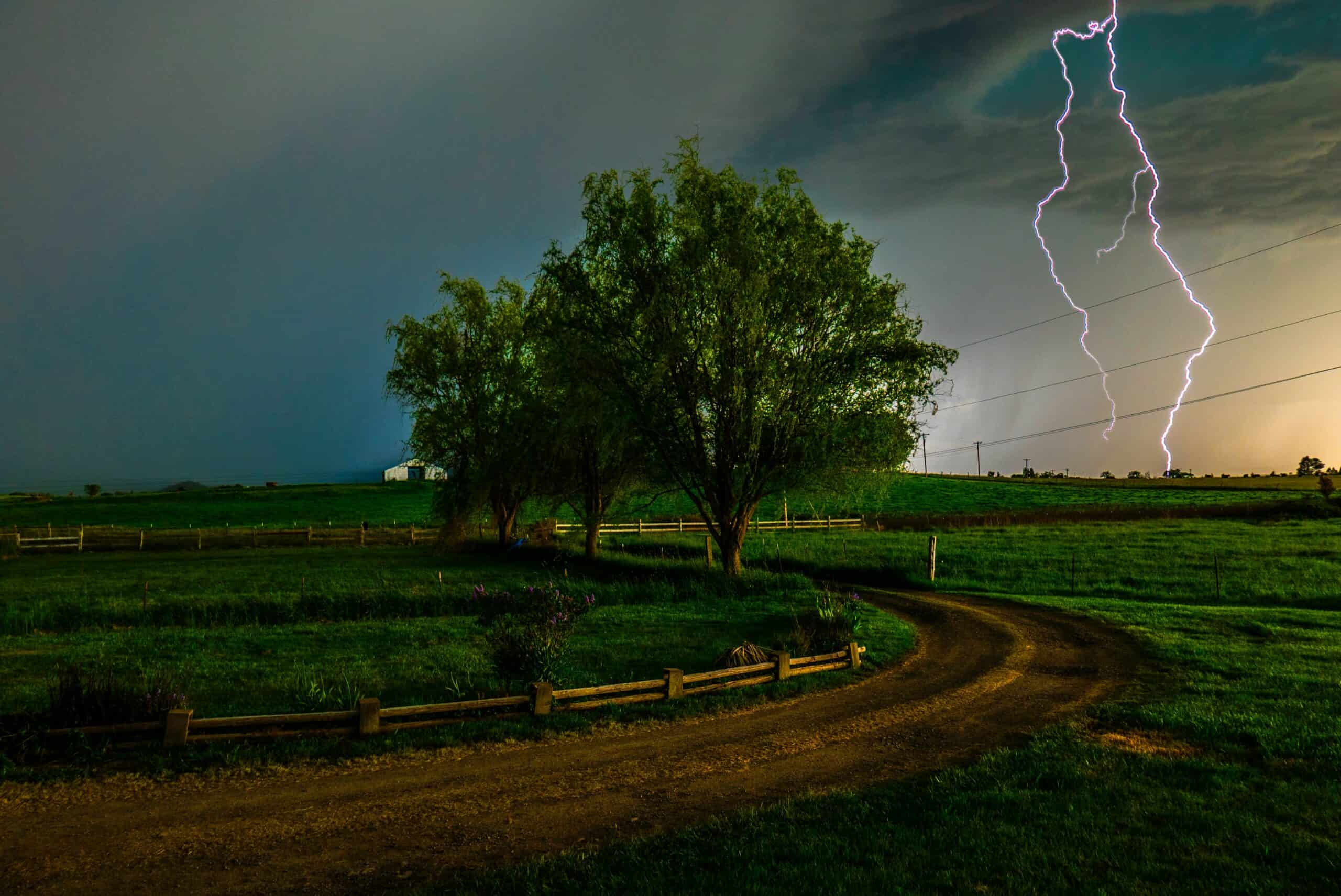 Un arbre sous l'orage - conduite dangereuse en cas d'orage - bons gestes a adopter - mondial de l'auto 2024