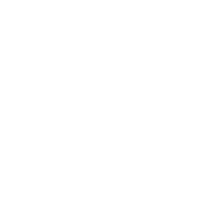 logo-mondial-2024-1.png