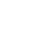 logo-mondial-2024-1.png